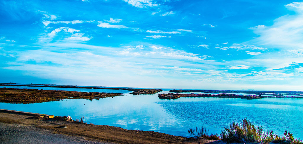 Delta del Ebro 02