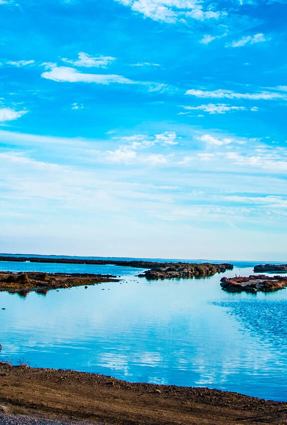 Delta del Ebro 04